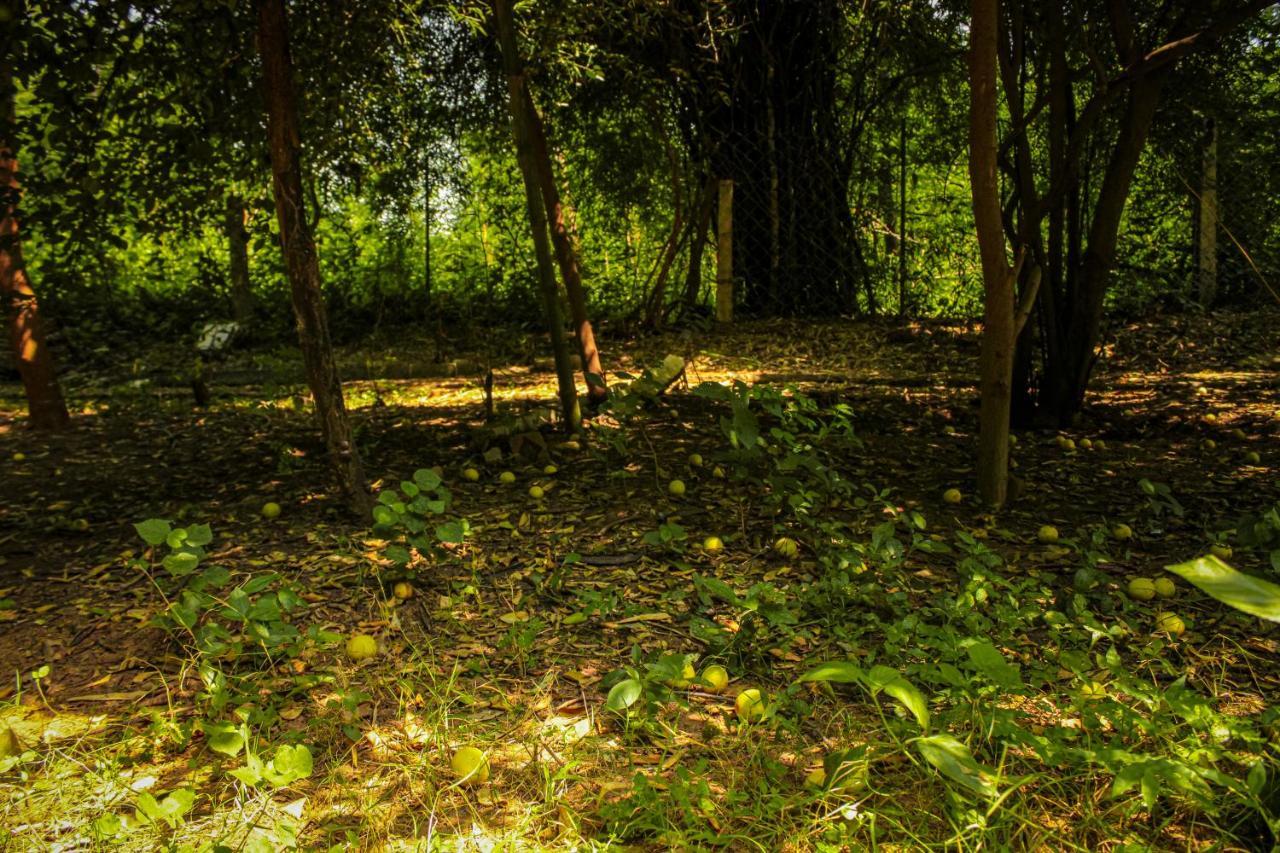 Panna Tiger Resort- Riverside Property Rajgarh  Exterior photo