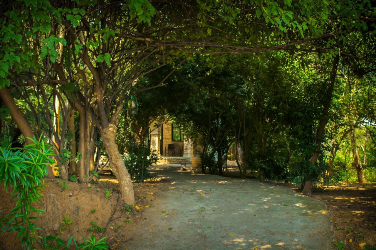 Panna Tiger Resort- Riverside Property Rajgarh  Exterior photo